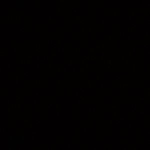 Meet your Posher, Daii